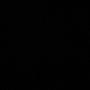 Meet your Posher, Liz